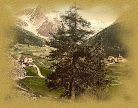 Altes Sulden